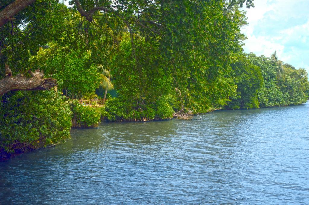 Lumbini Lagoon Koggala Bilik gambar