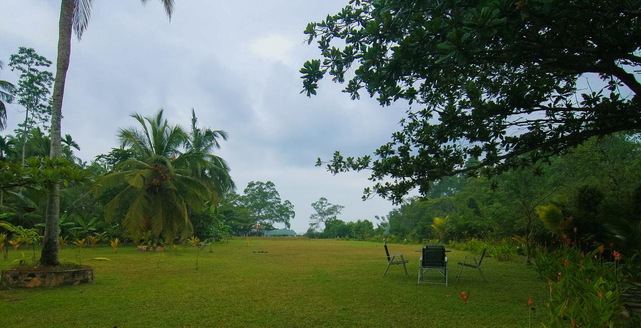 Lumbini Lagoon Koggala Luaran gambar