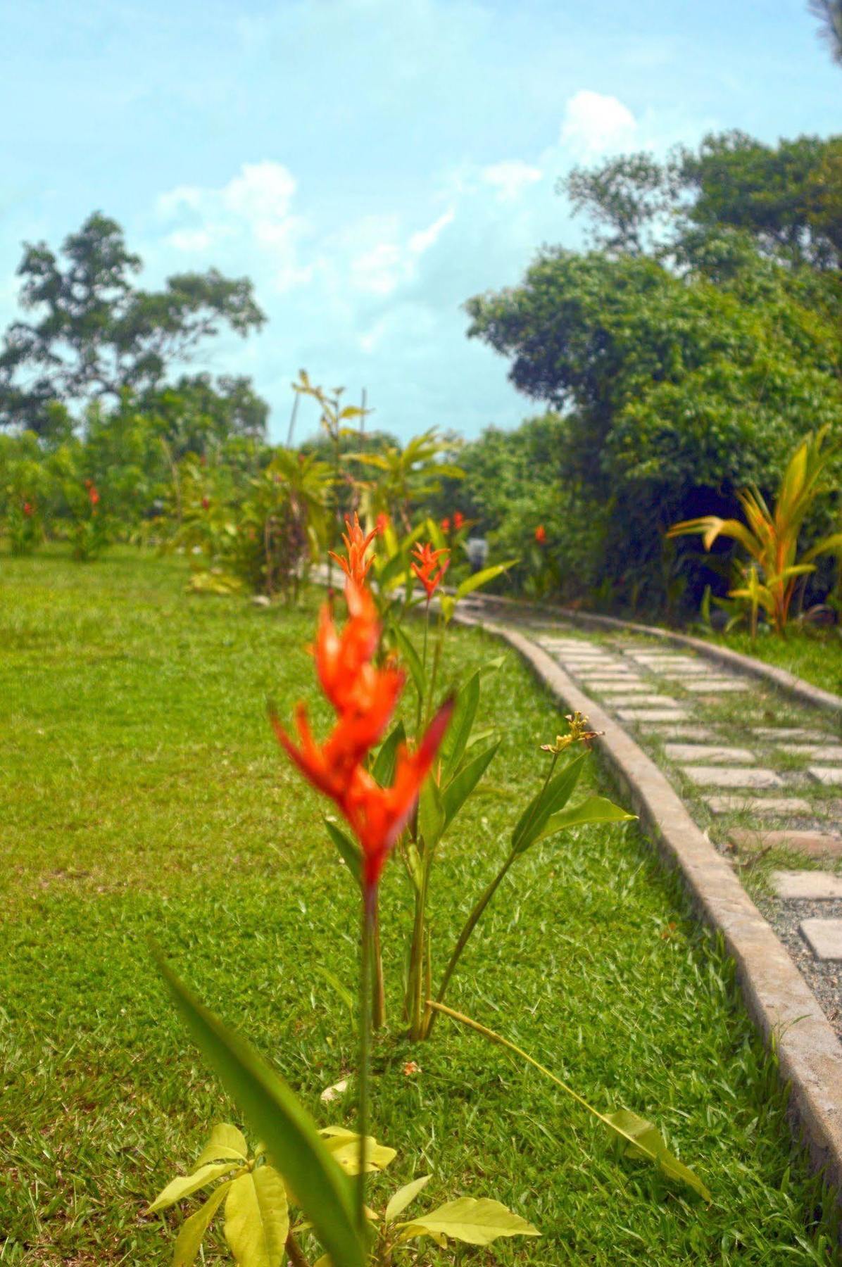 Lumbini Lagoon Koggala Luaran gambar